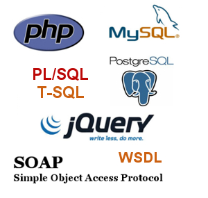 Consulenza Software